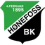 Hønefoss