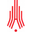 Amkar Perm
